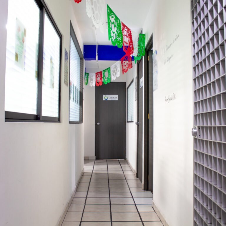 galeria_viaducto_1